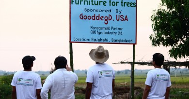 Gooddegg, Furniture For Tree